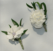 White Carnation Boutonnieres
