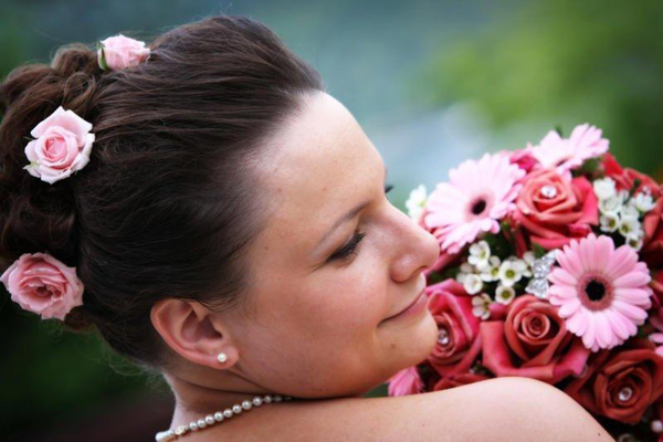 Pink and Red Roses